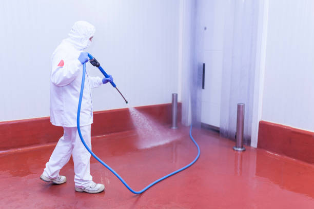 Best Paint Preparation  in Sandy, UT