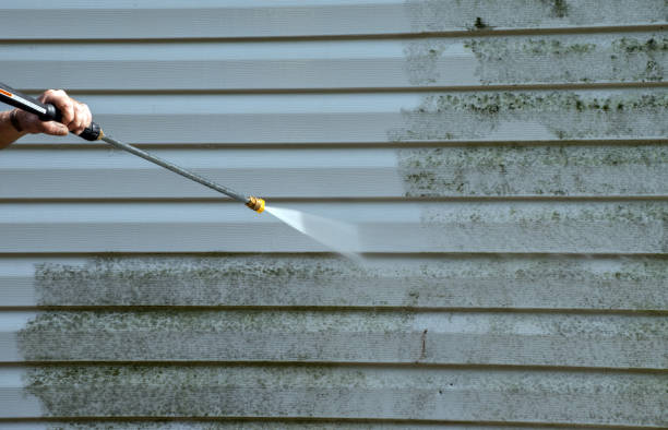 Best Fence Cleaning  in Sandy, UT